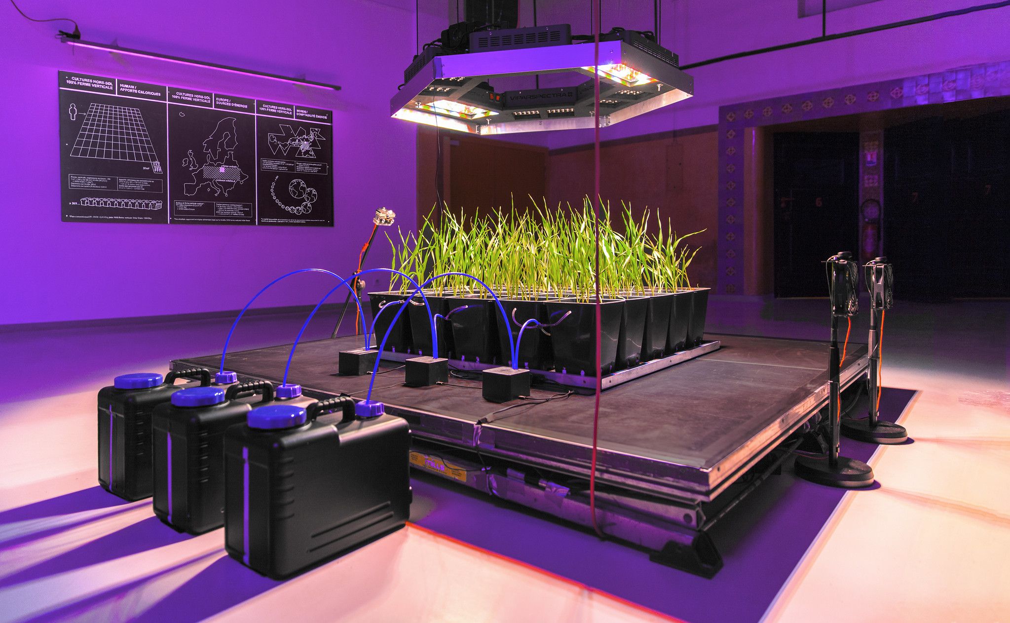 Are Vertical Farms Still a Thing?