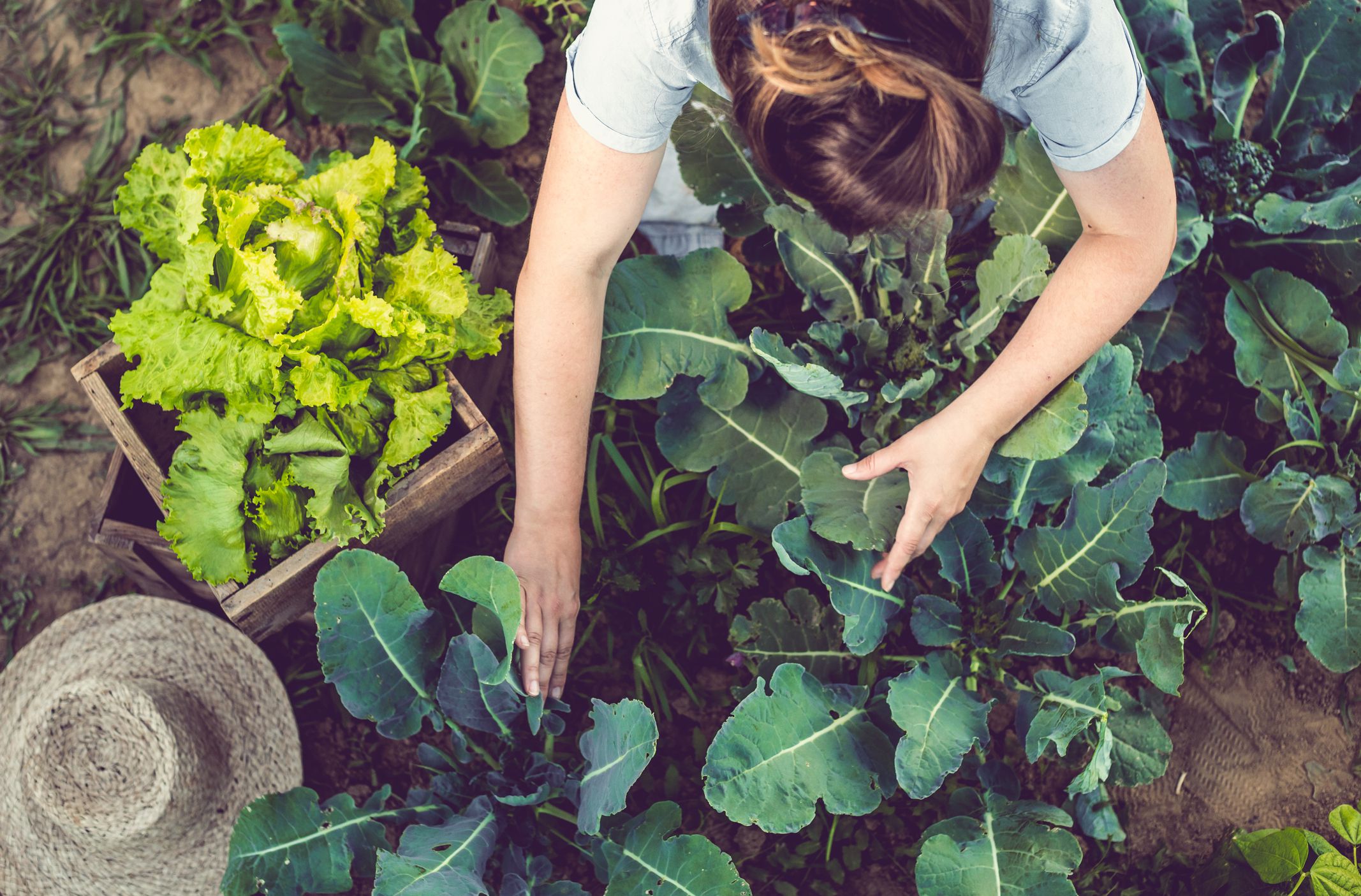 How to Get the Most From a Small Garden