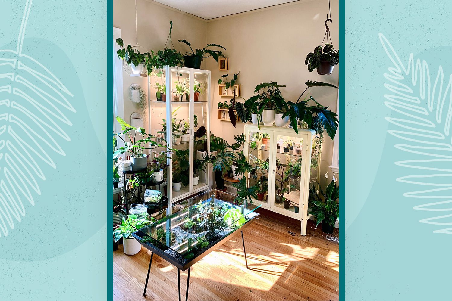 What You Need to Know About Making a Plant Room