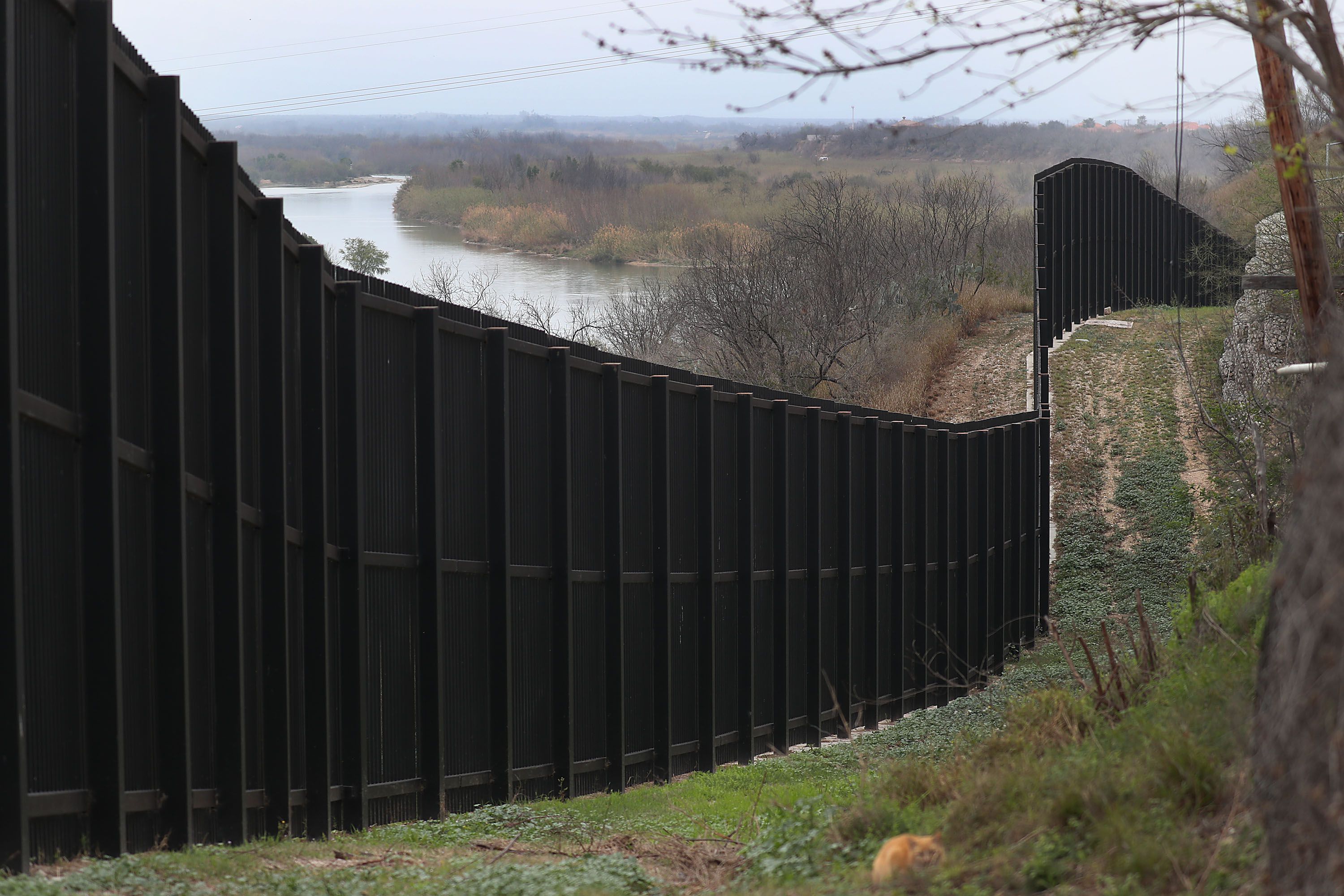 Borders Harm Non-Human Climate Refugees Too