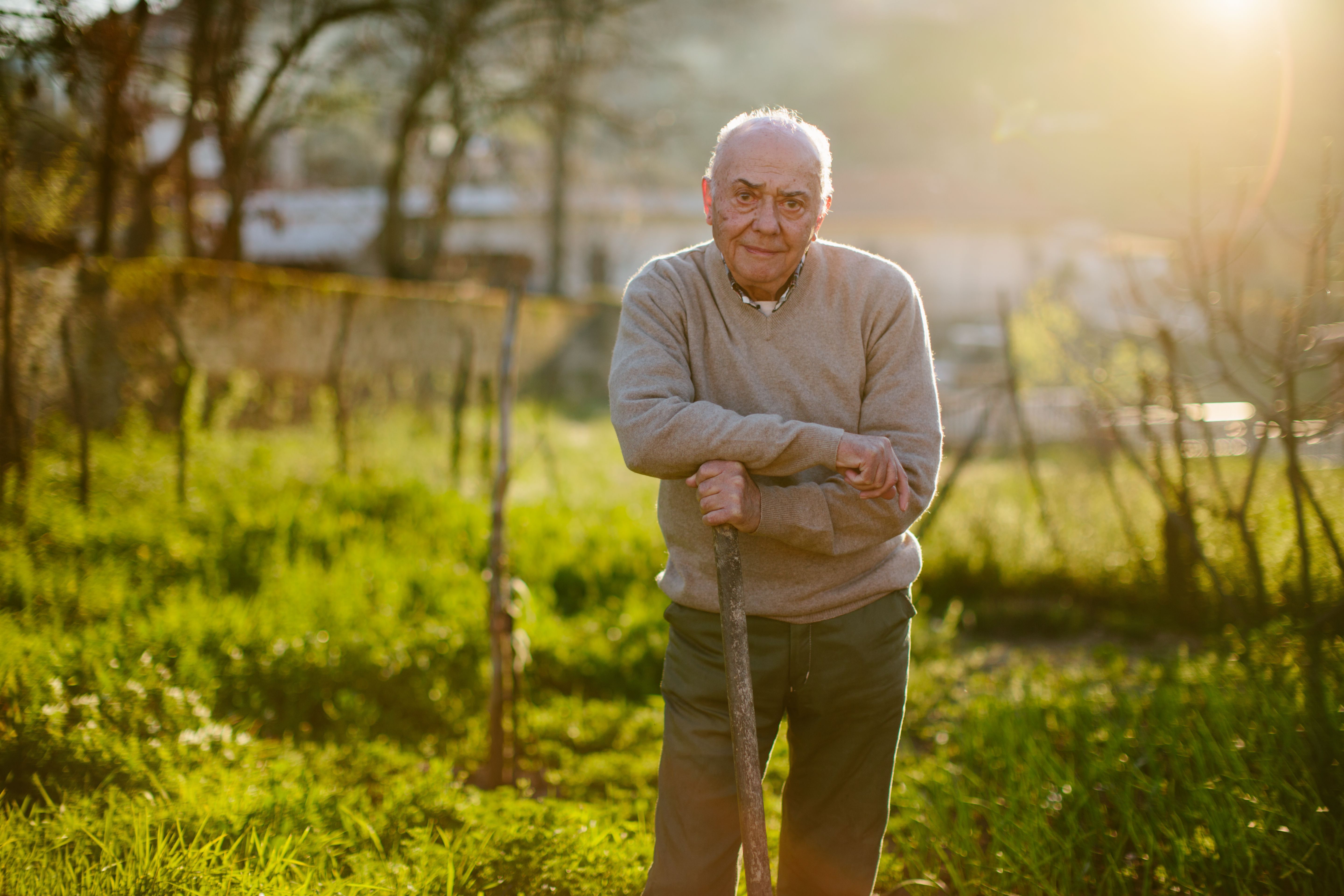 How a Garden Can Help You Feel Better