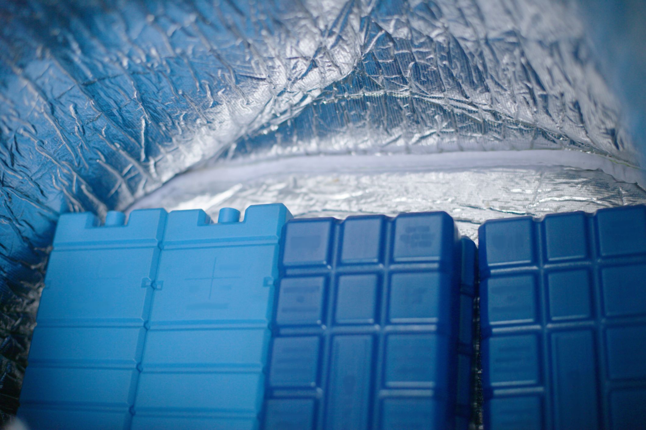 The 8 Best Ice Packs for Coolers in 2021