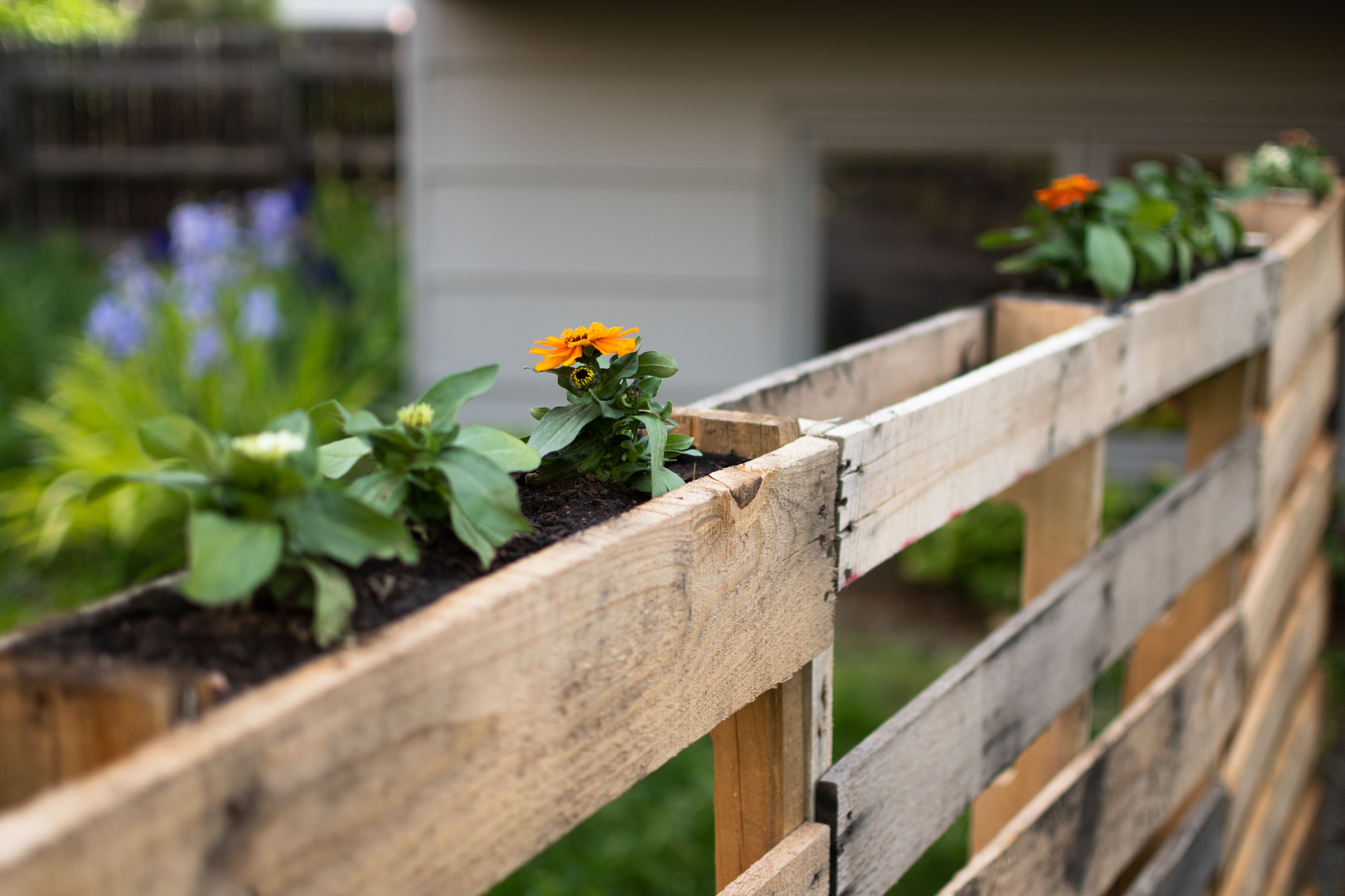 10 Brilliant Uses for Wood Pallets in Your Garden