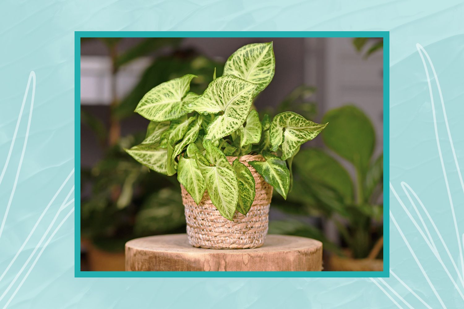These Are the 5 Big  It Houseplants We ll See This Year