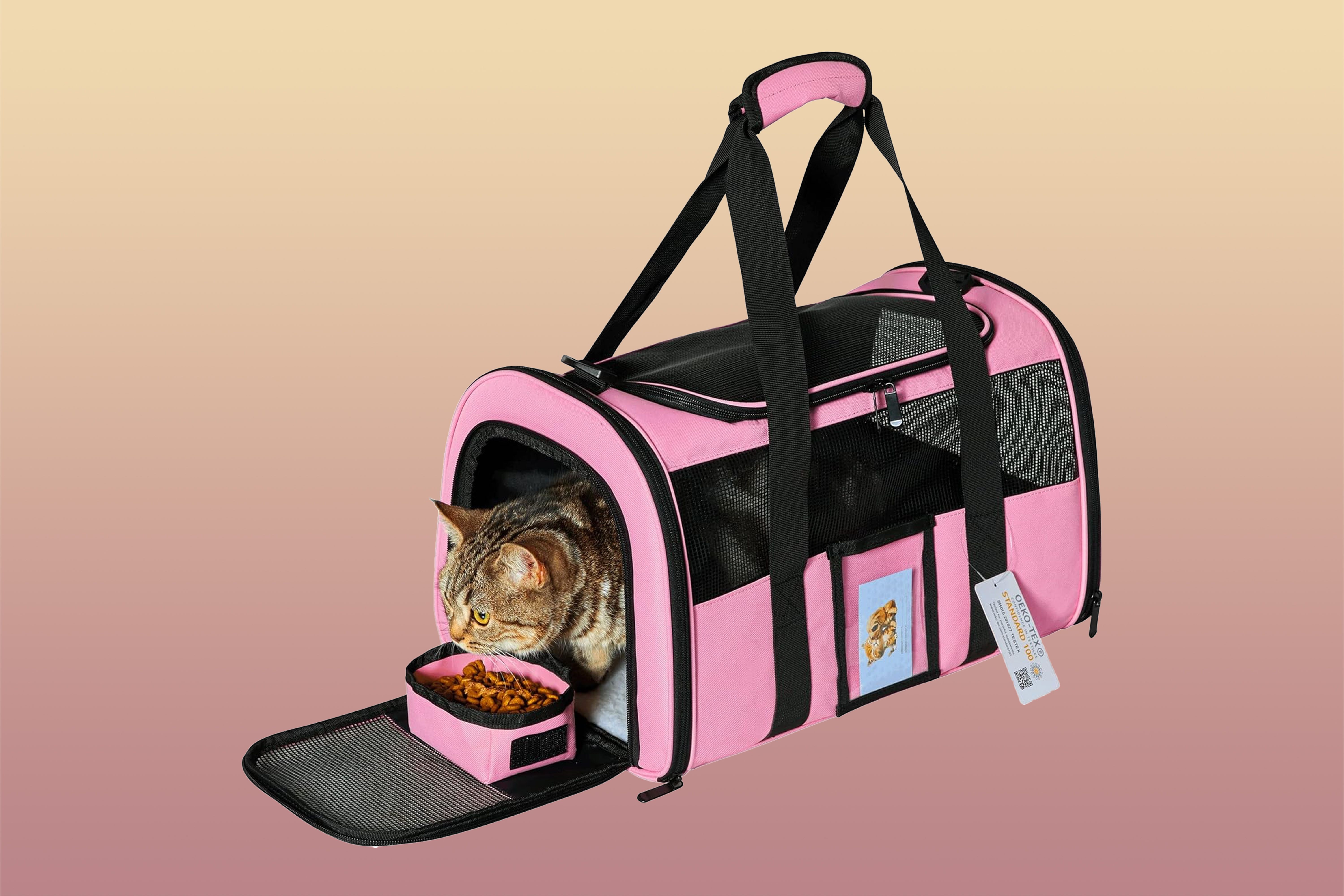 Score 46% Off the Carrier Shoppers Say Is the 'Perfect Size for Small Pets'
