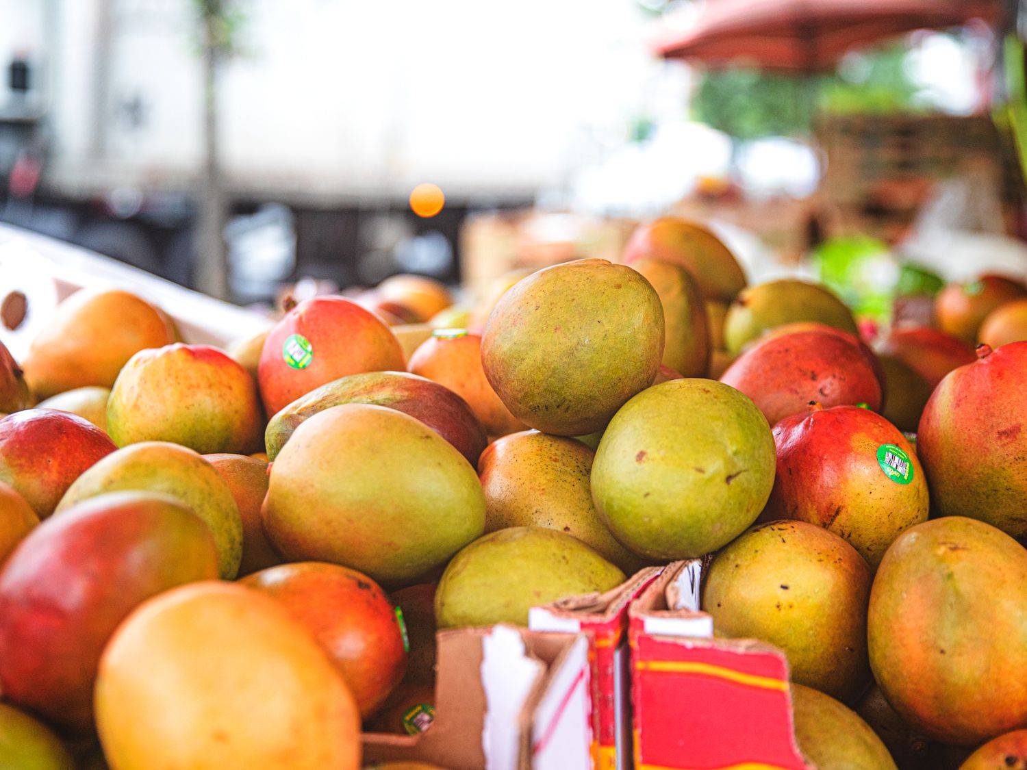 The Correct Way to Eat a Mango Is On Toast