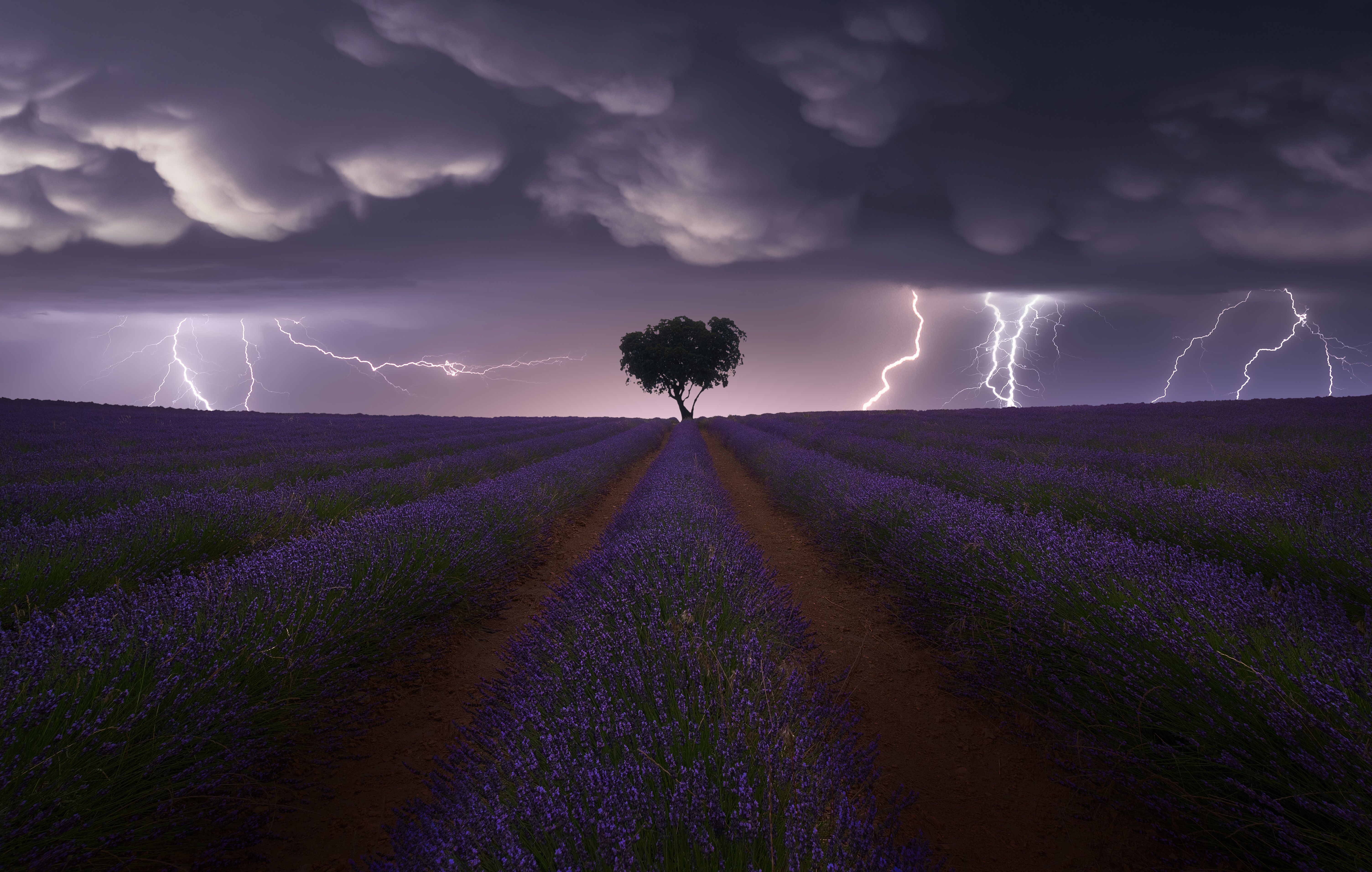 Lovely Moments and Pandemic Images Win Sony Photo Awards