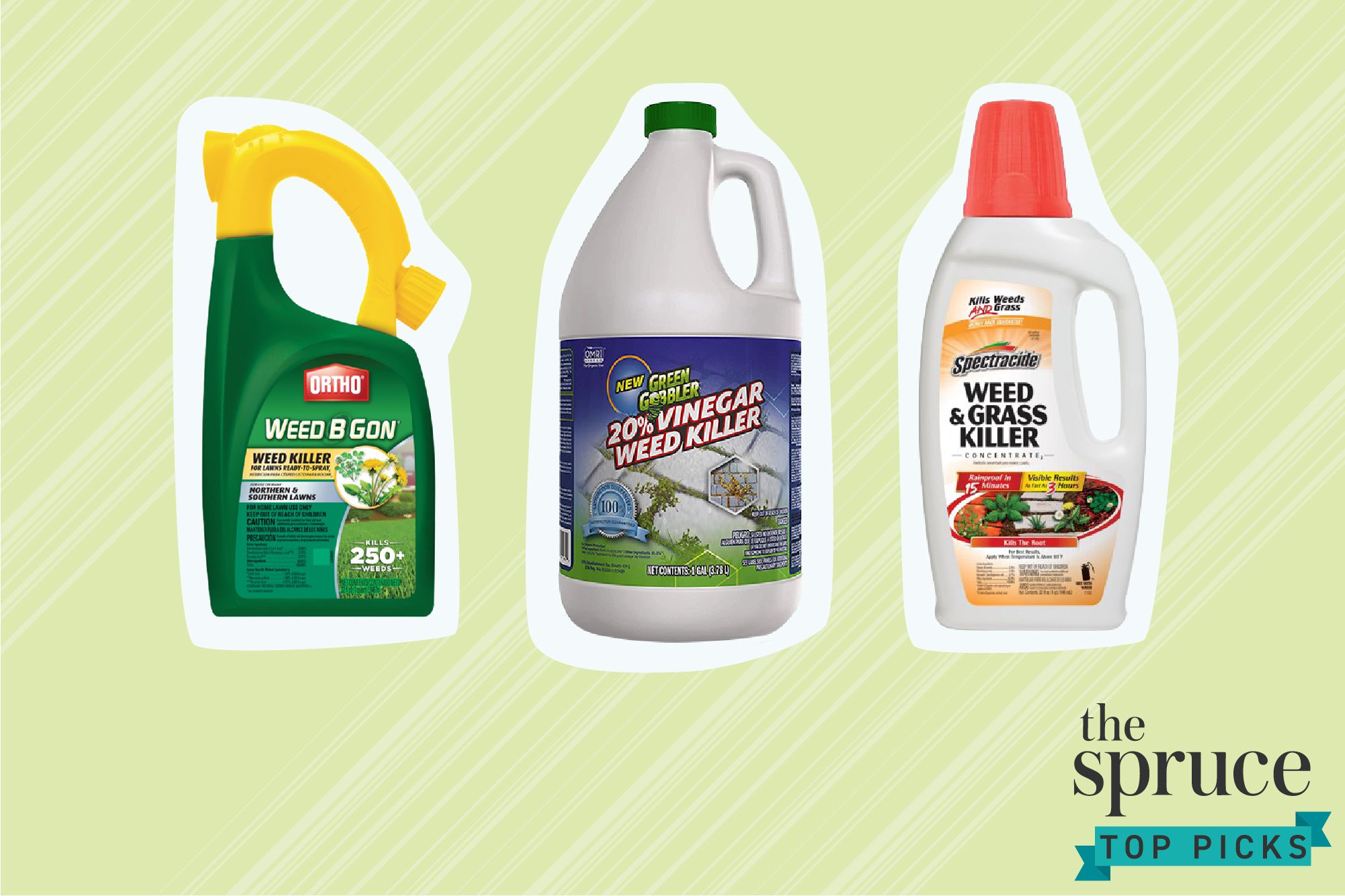 Eliminate Pesky Plants With These Top-Rated Weed Killers