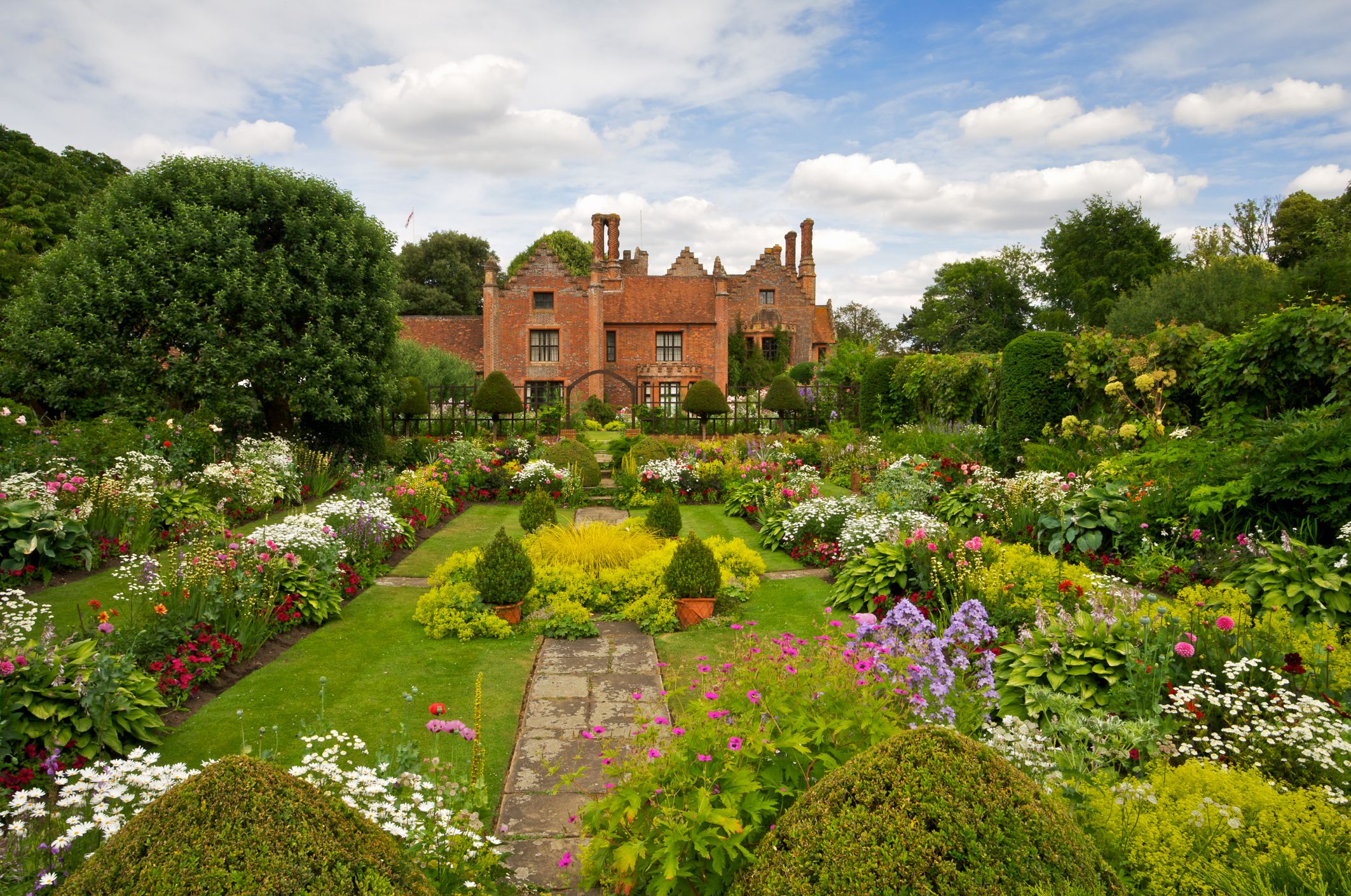 16 Border Plants to Frame Your Garden