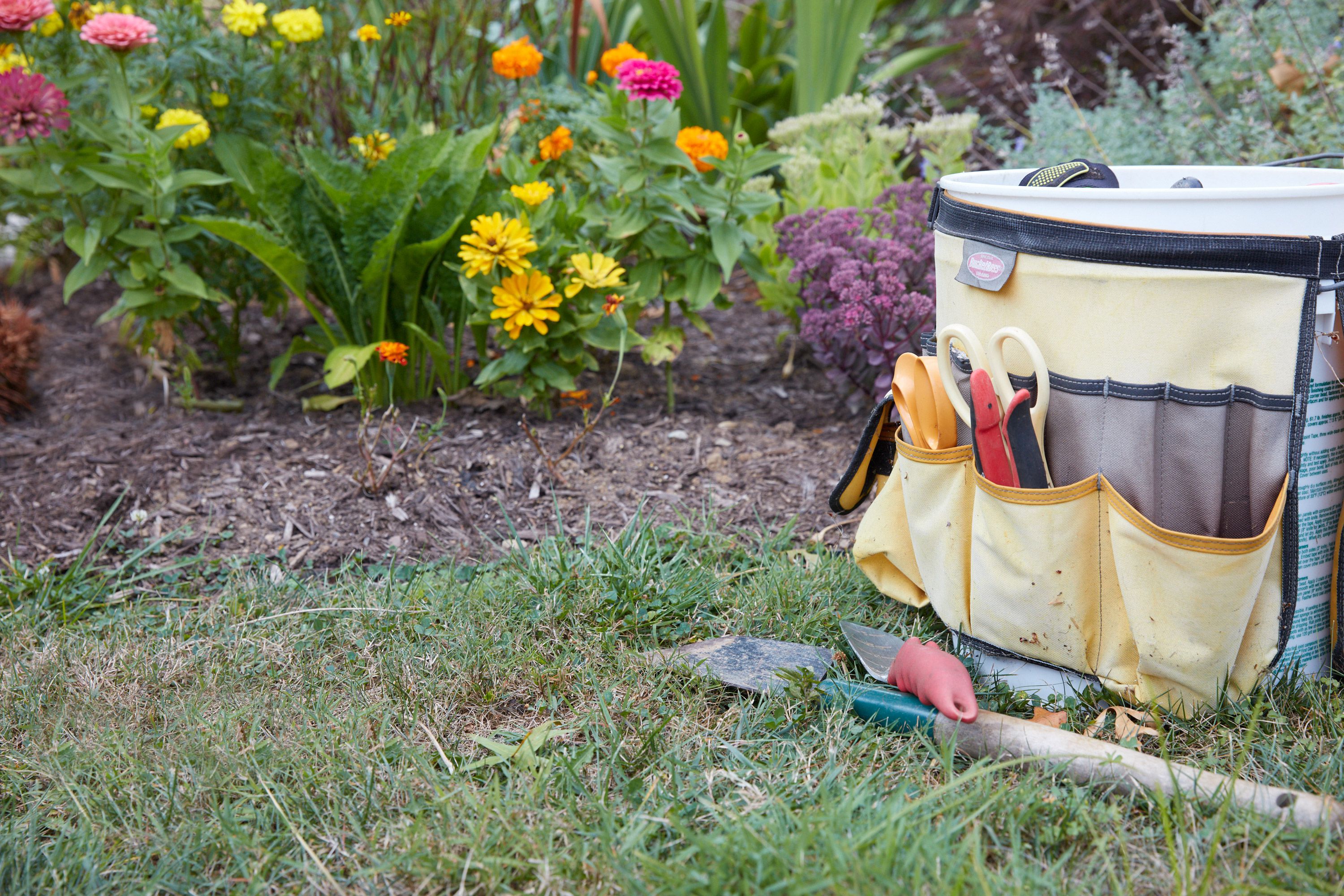 12 Essential Tools Every Gardener Should Have