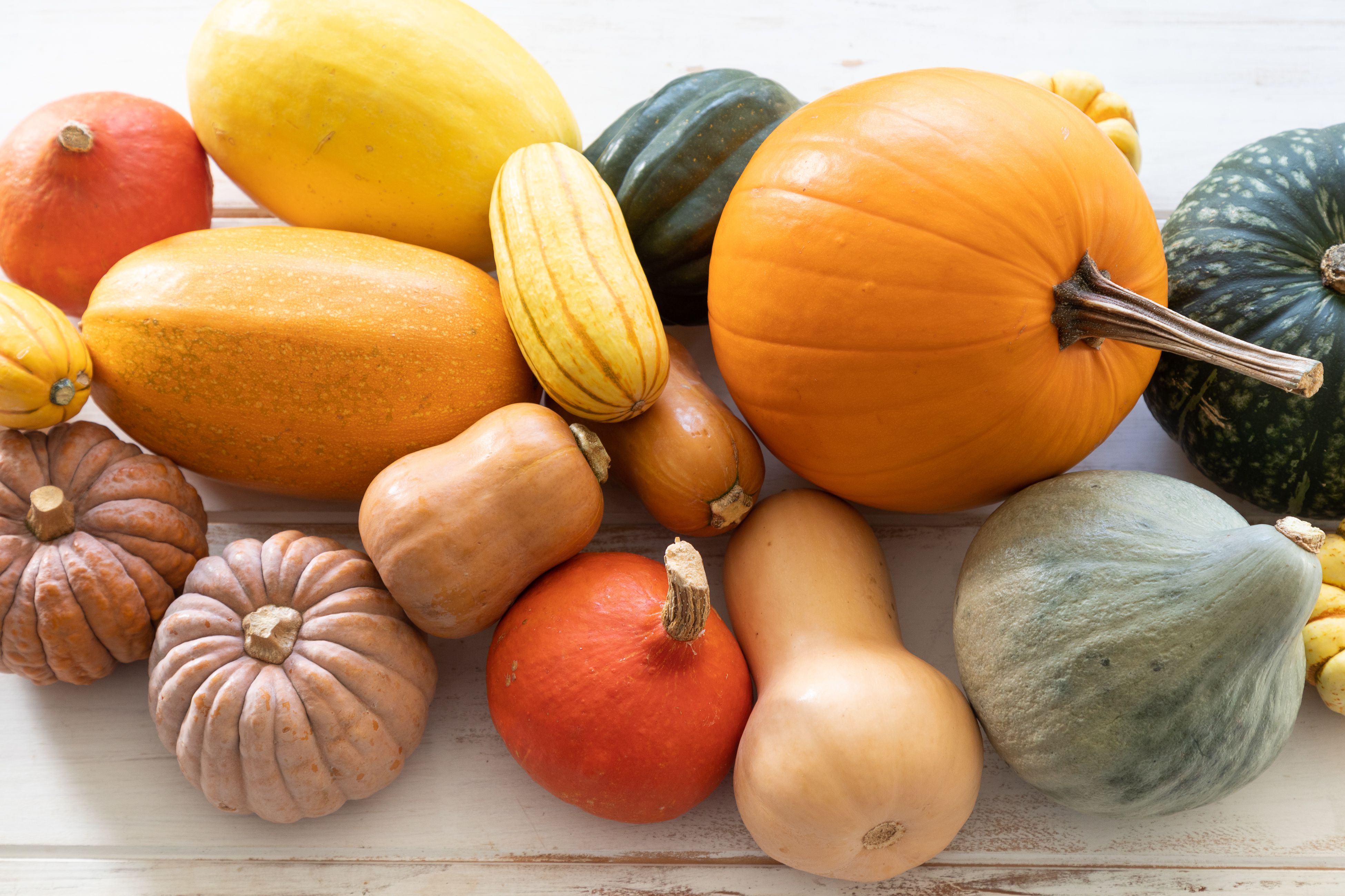 Your Guide to Winter Squash