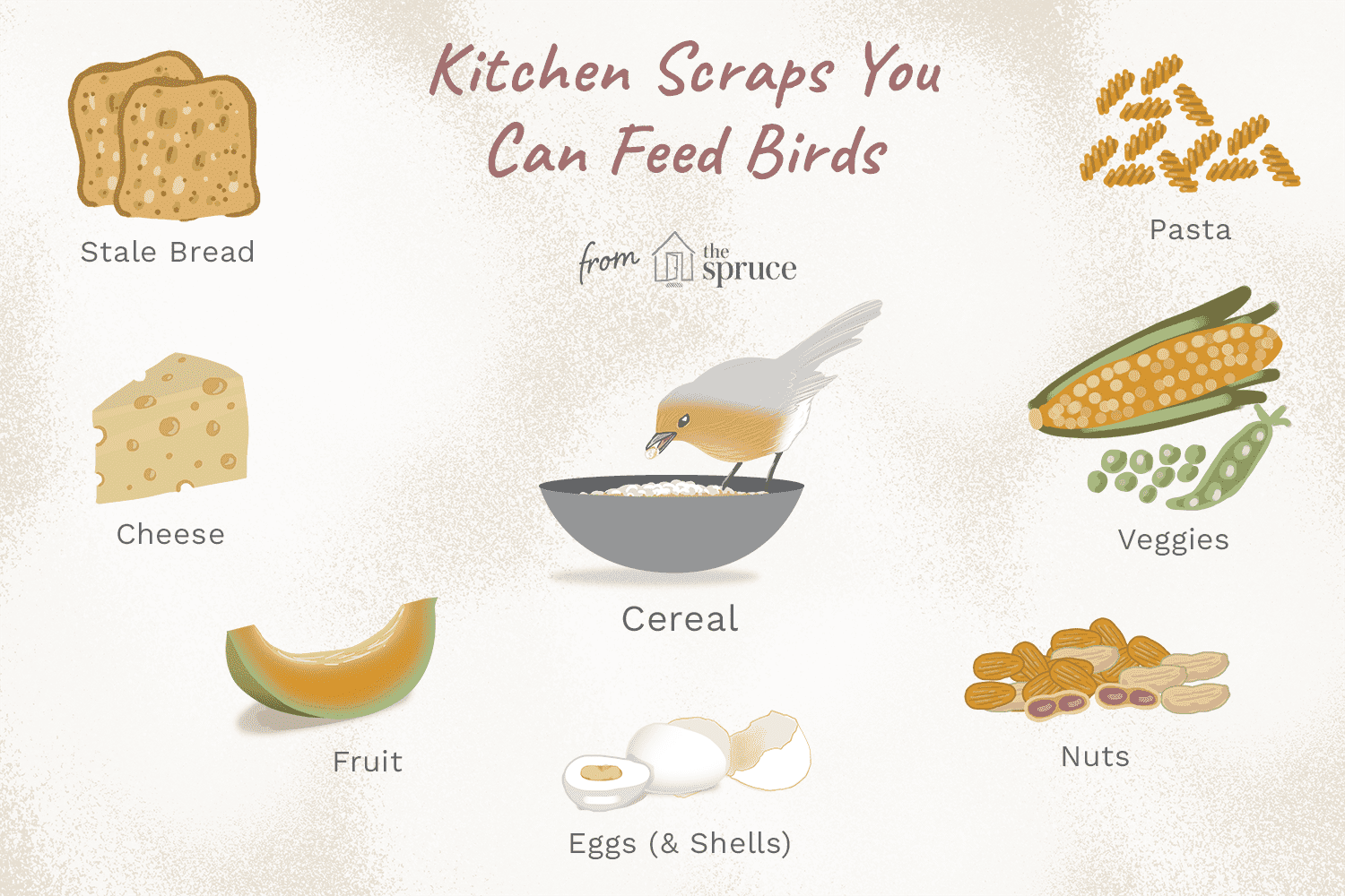 10 Kitchen Scraps You Can Feed Birds