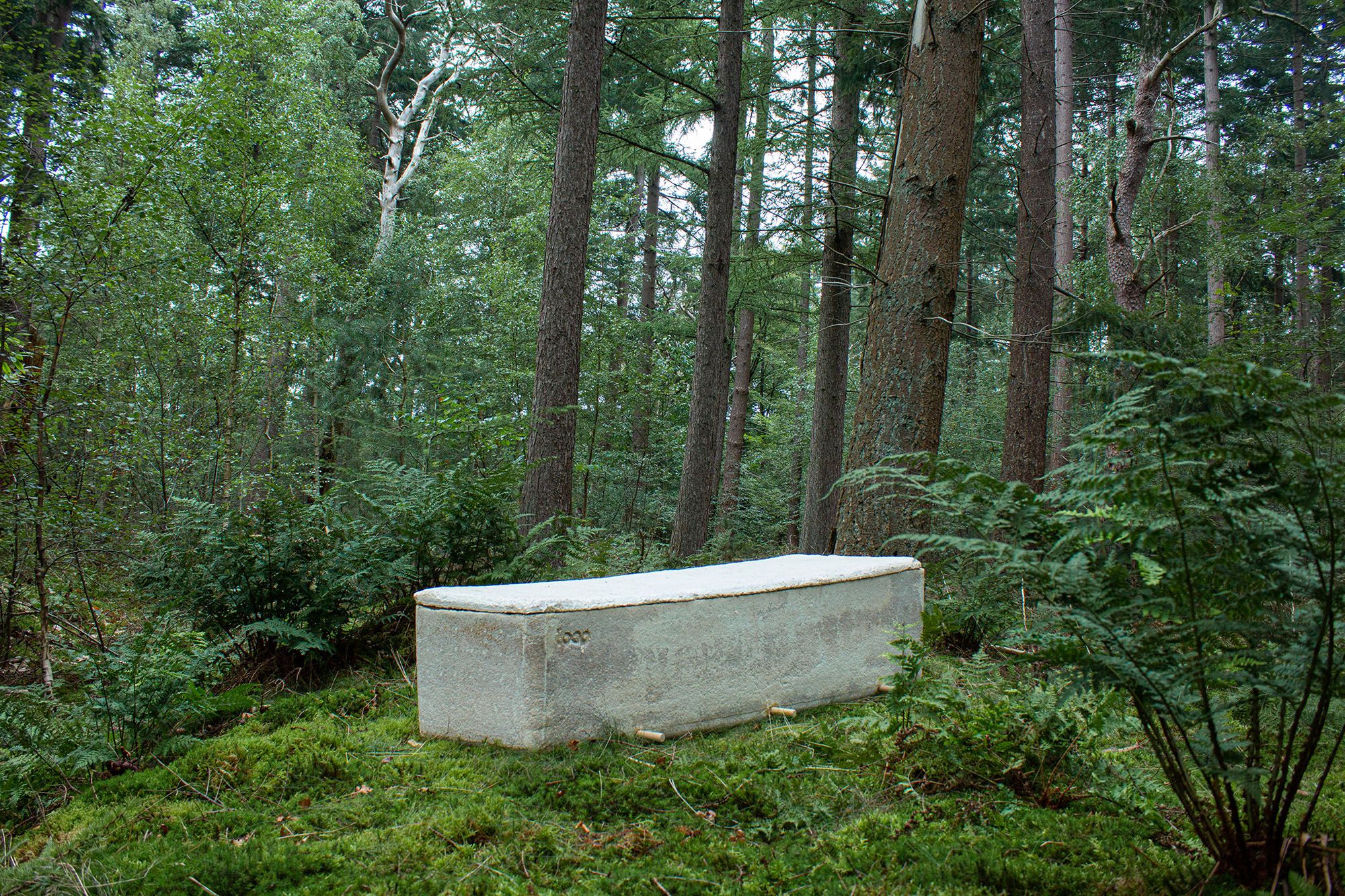 Eco-Friendly Coffin Made With Fungi