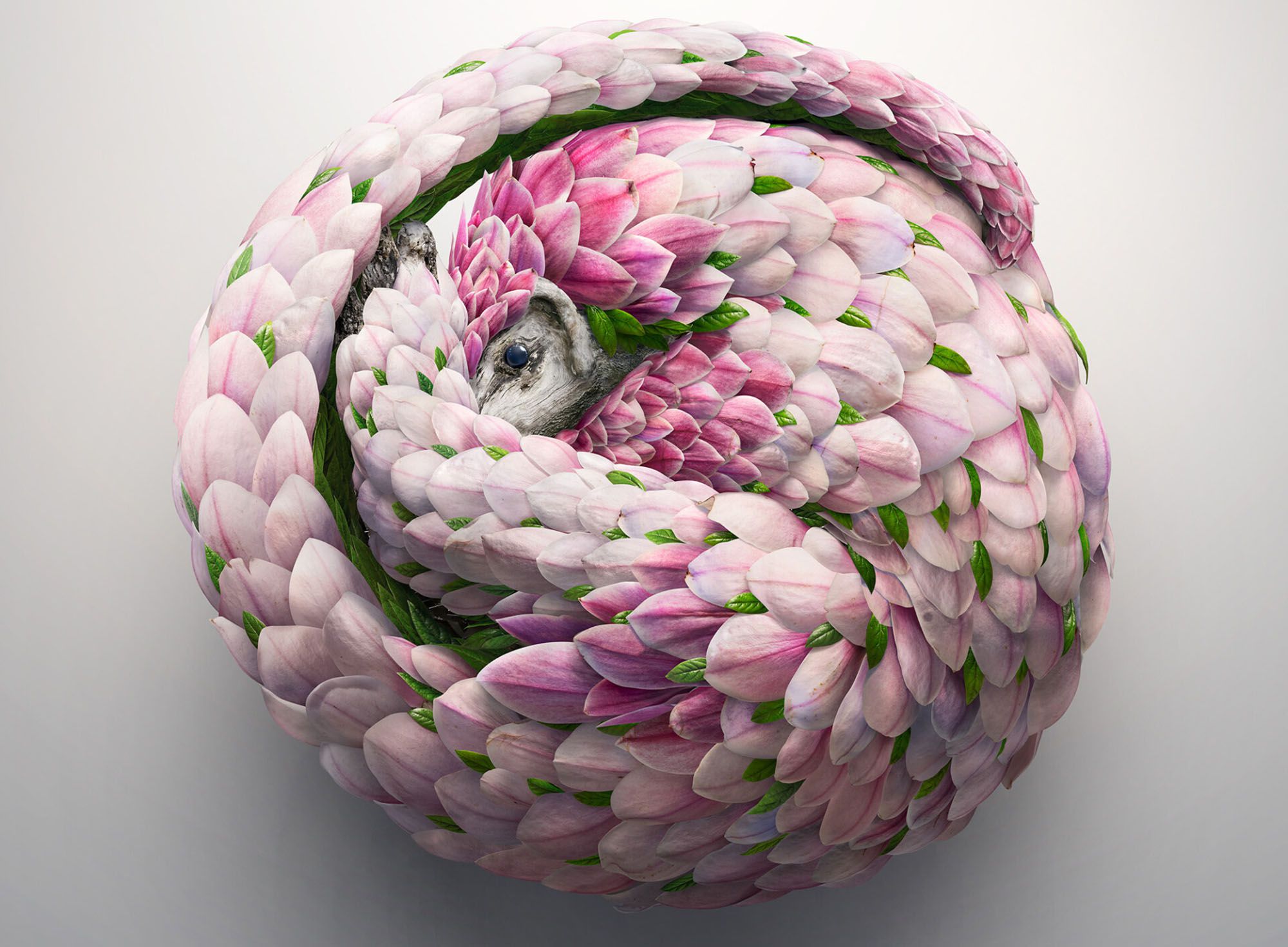 Photo-Collages Merge Flora With Fauna